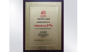 2016年中國品牌企業(yè)500強
