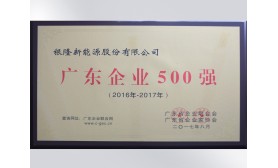 2017年廣東企業(yè)500強