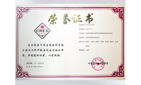 中國可再生能源學(xué)會(huì)科學(xué)技術(shù)進(jìn)步三等獎(jiǎng)